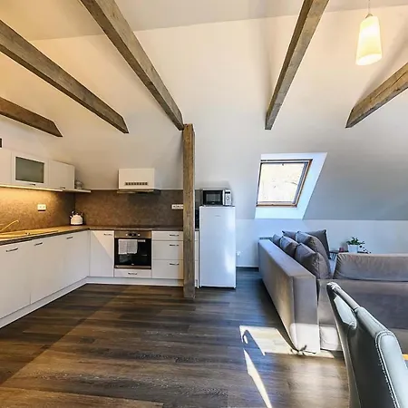 Krenov 62 Pensjonat 3*
