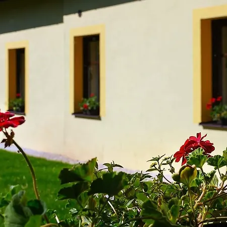 Pensjonat Krenov 62 3*
