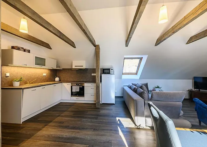Krenov 62 Pensjonat 3*